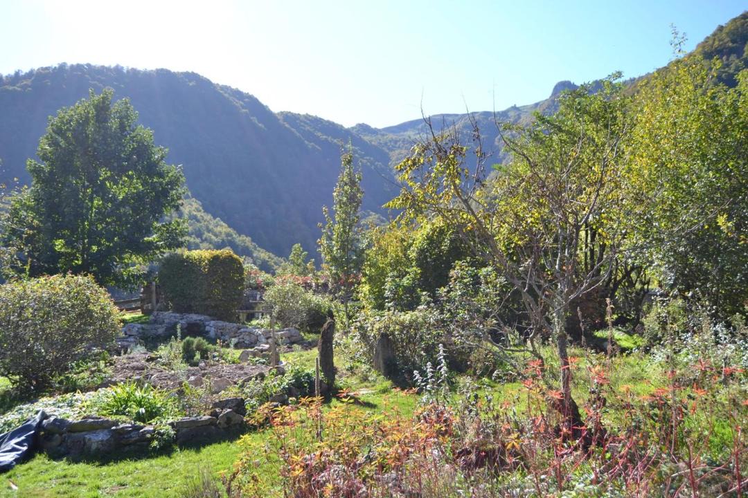 Photo of Others in Sost