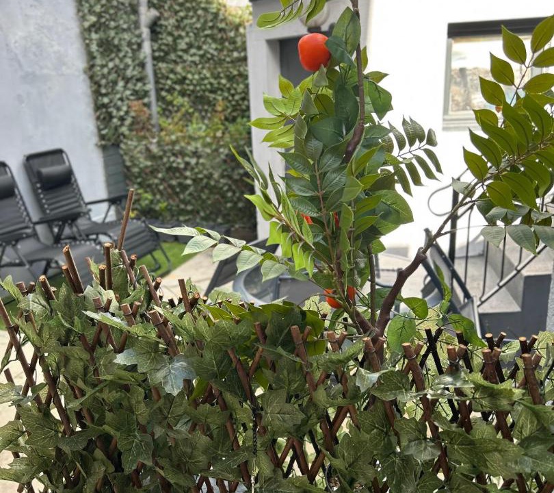 Photo of Others in Lunay