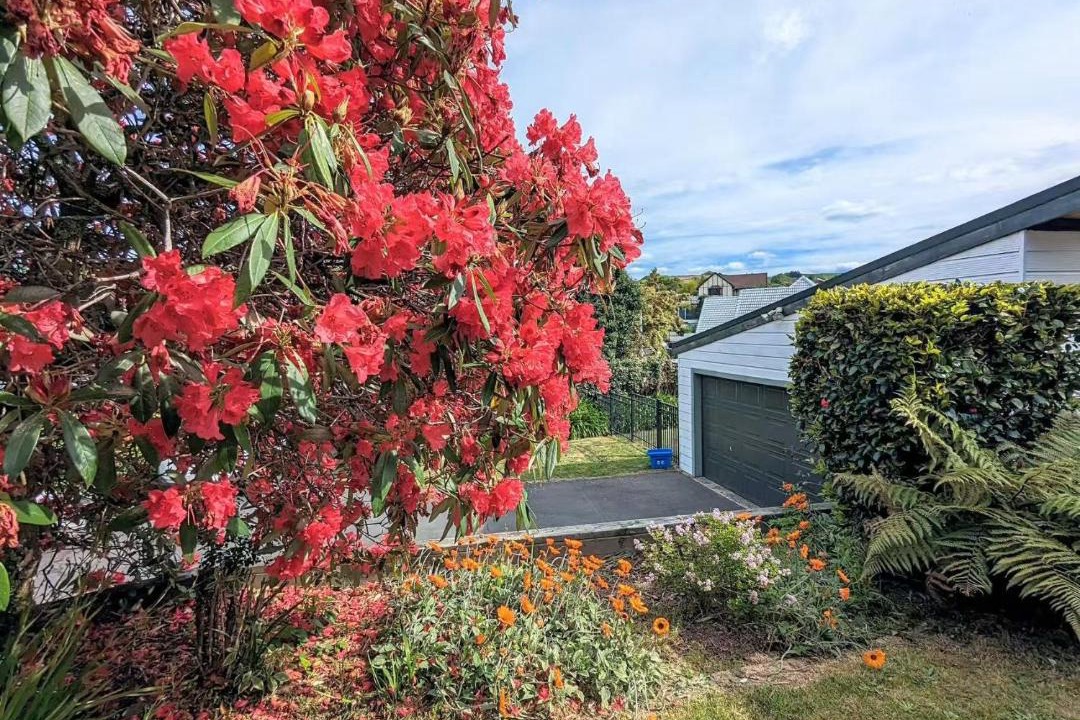 Photo of Others in Springfield