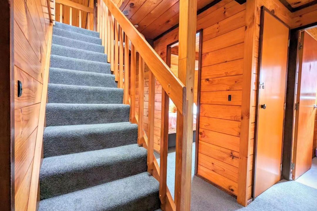 Photo of Others in Springfield