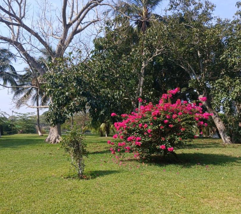 Photo of Outdoor in La Antigua