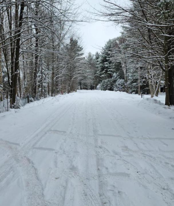 Photo of Others in Minden Hills