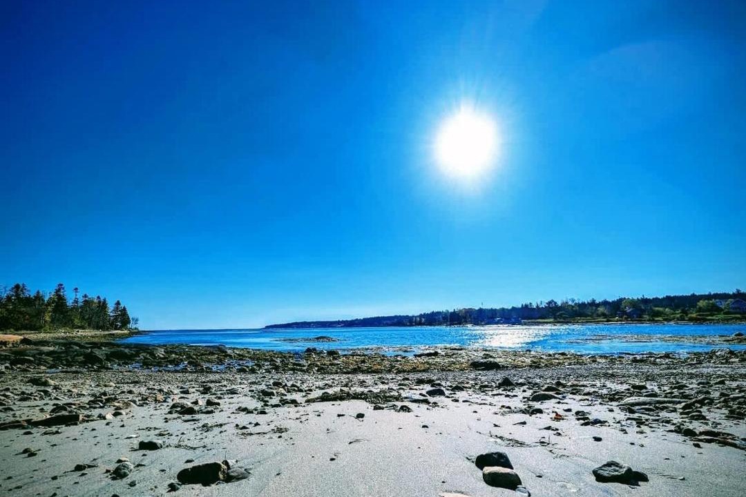 Photo of Others in Prospect Harbor