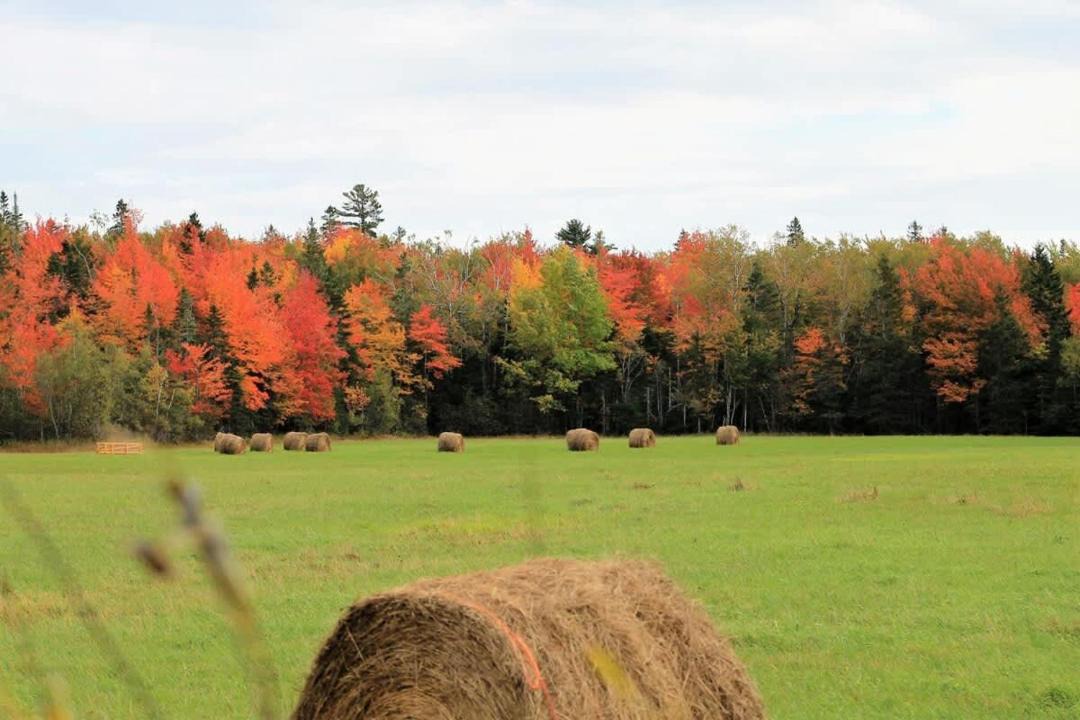Photo of Others in Hancock