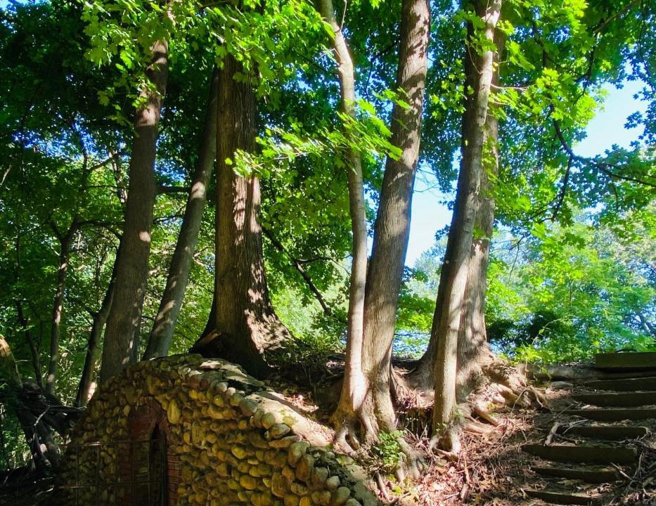 Photo of Others in Willoughby