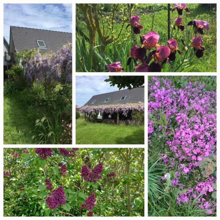 Photo of Outdoor in Lancheres