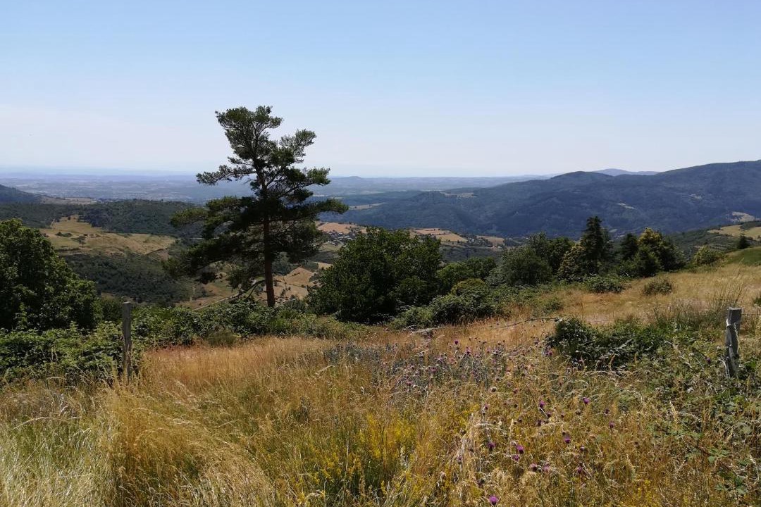 Photo of Others in Vanosc