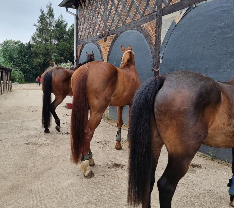 Photo of Others in Valmont