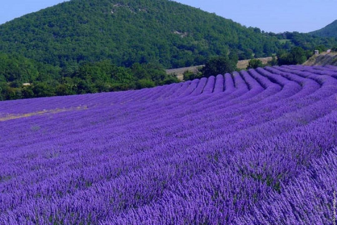 Photo of Others in Saint-Montan