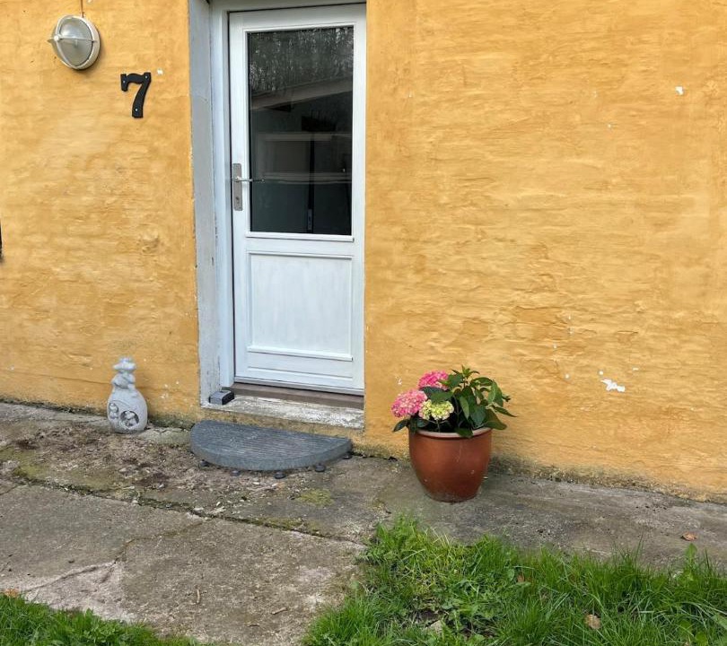 Photo of Others in Lokken