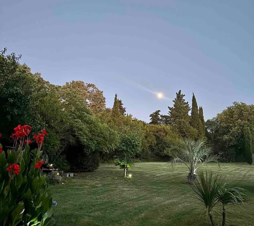 Photo of Others in Arles