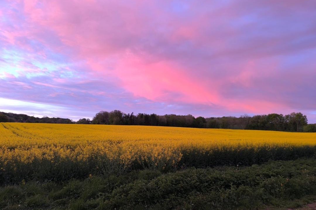 Photo of Others in Dampierre-sous-Bouhy