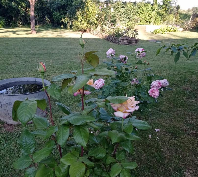 Photo of Outdoor in Gapree