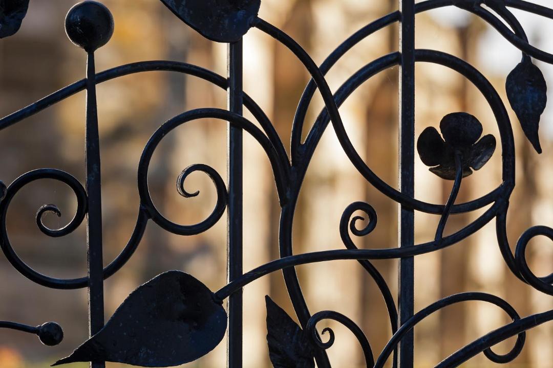 Photo of Others in Falkland