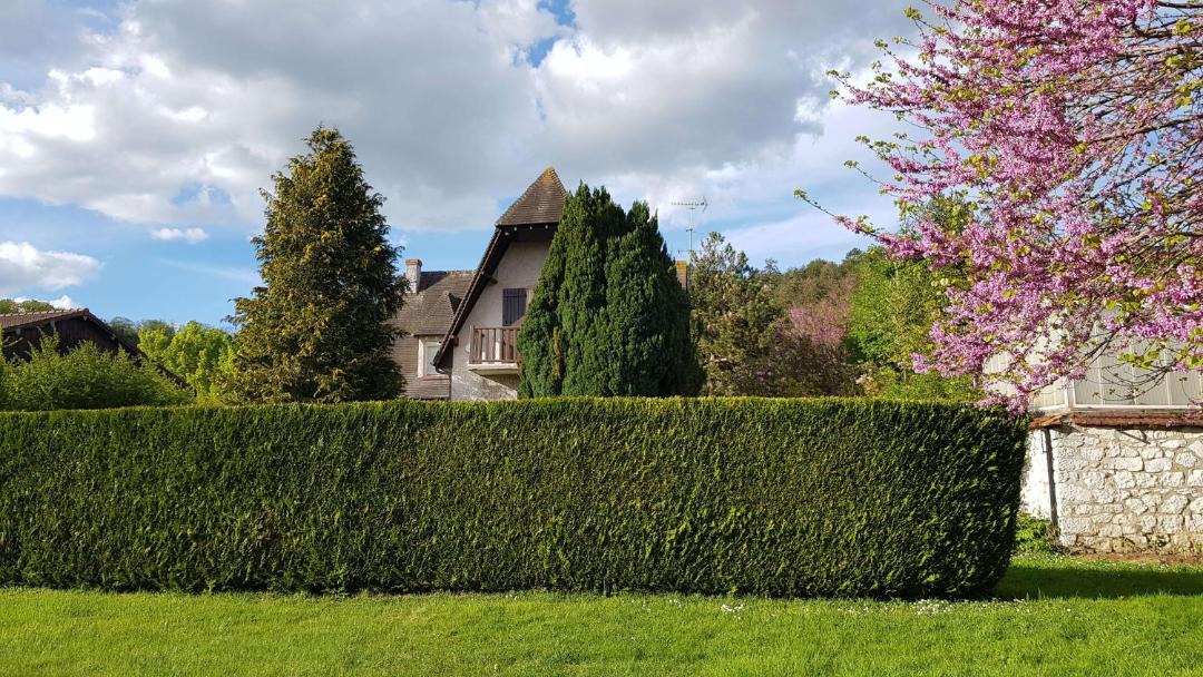 Photo of Others in Giverny