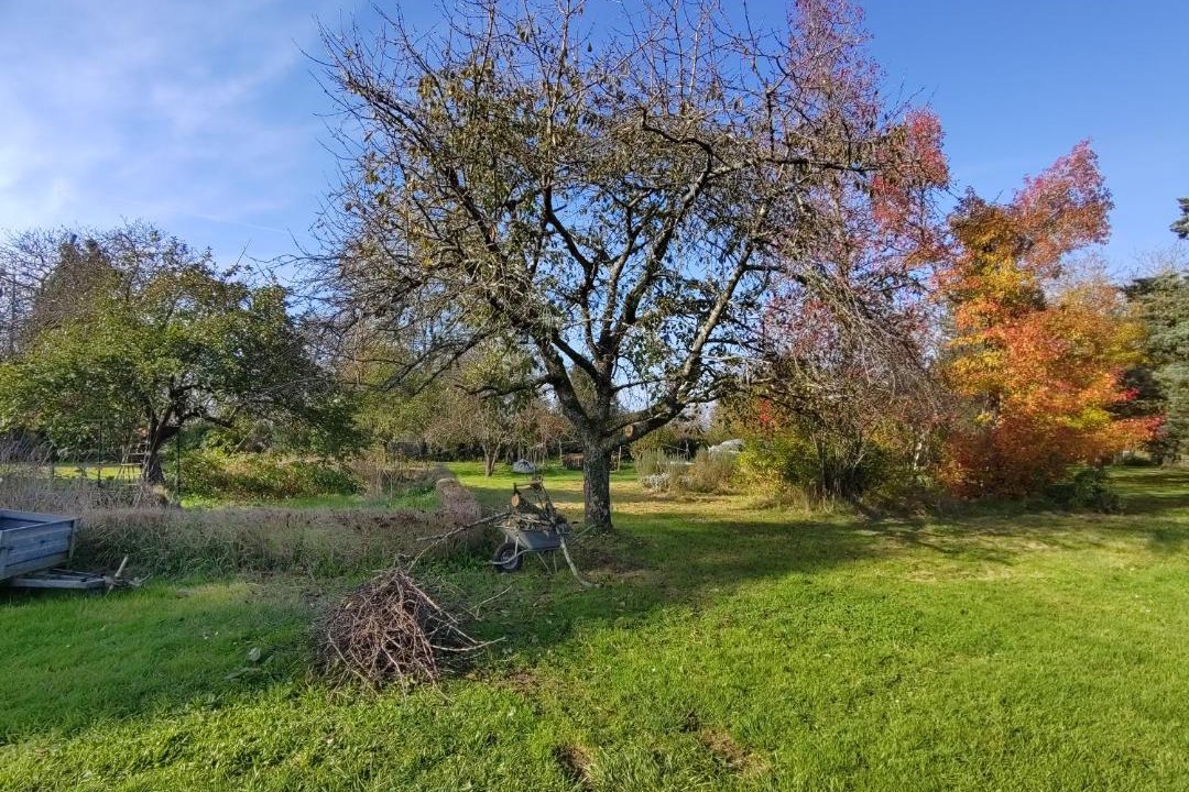 Photo of Others in Mars-sur-Allier