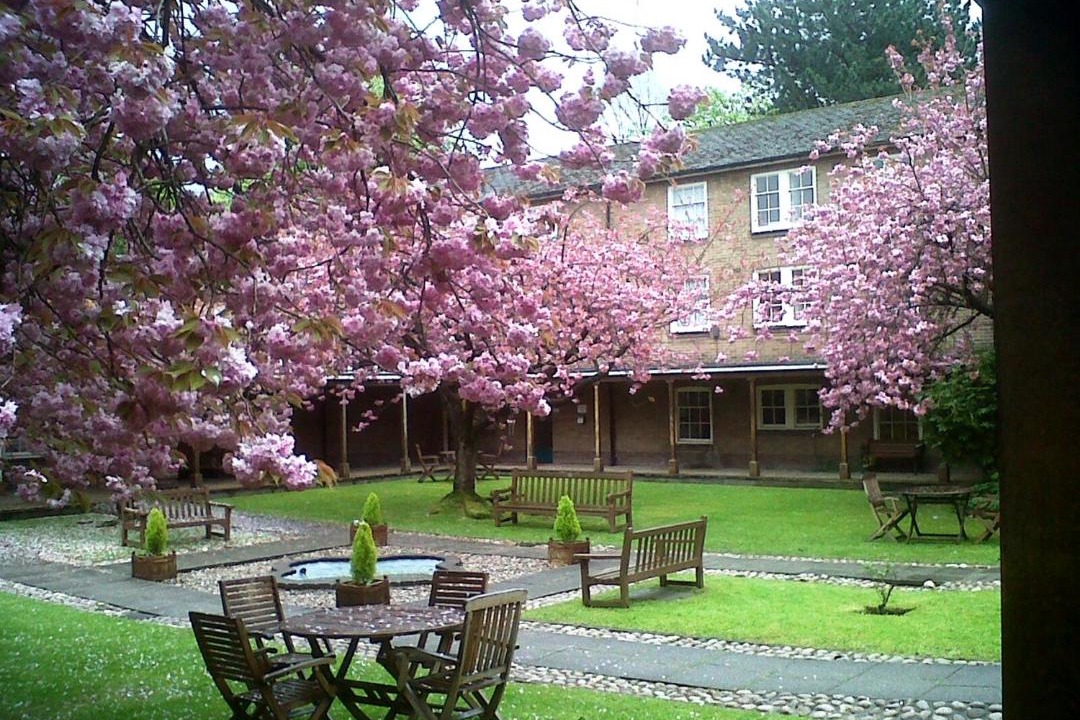 Photo of Others in Rusholme