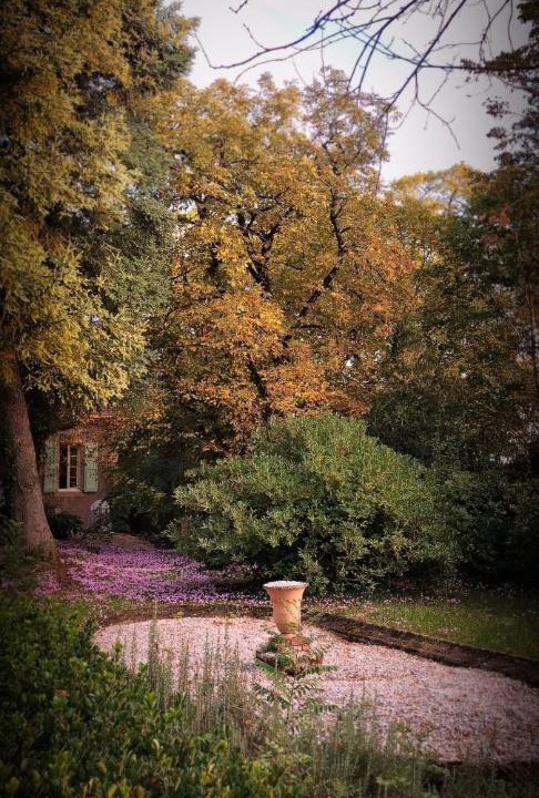 Photo of Others in Lamillarie