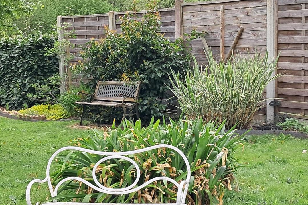 Photo of Others in Rouillon