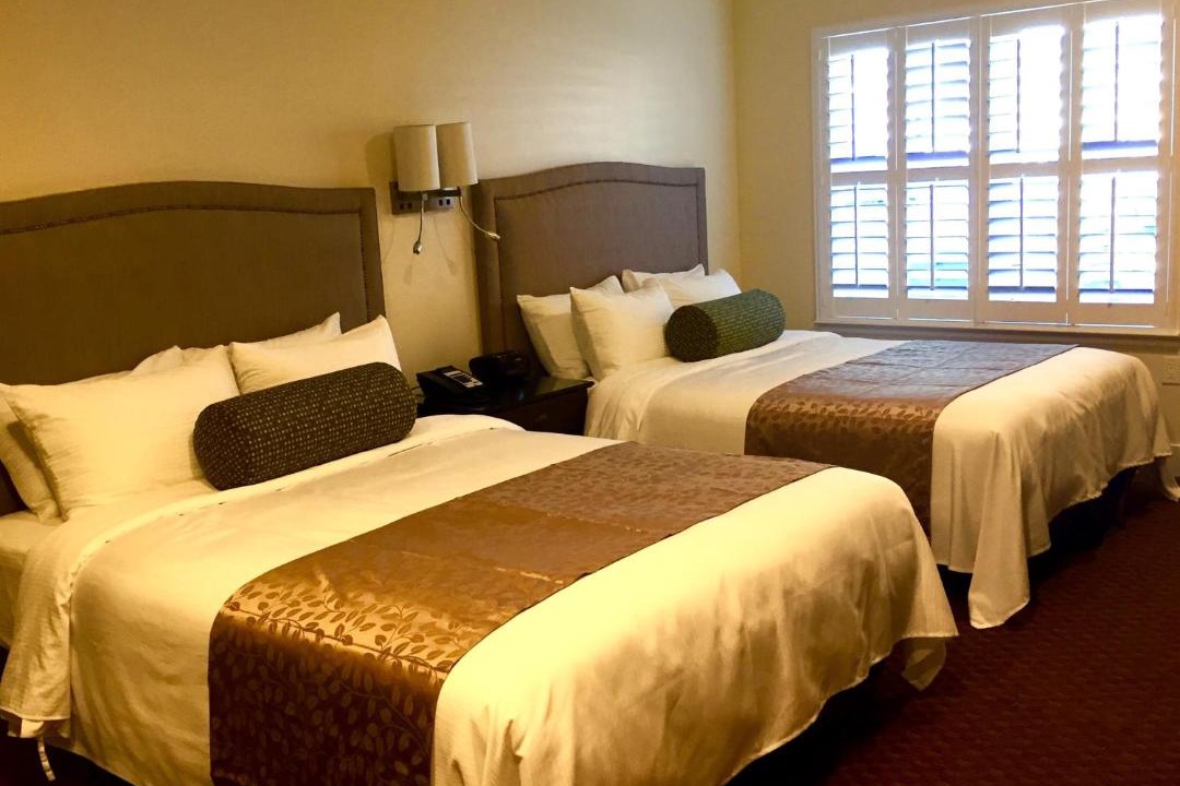 Photo of Others in Plymouth