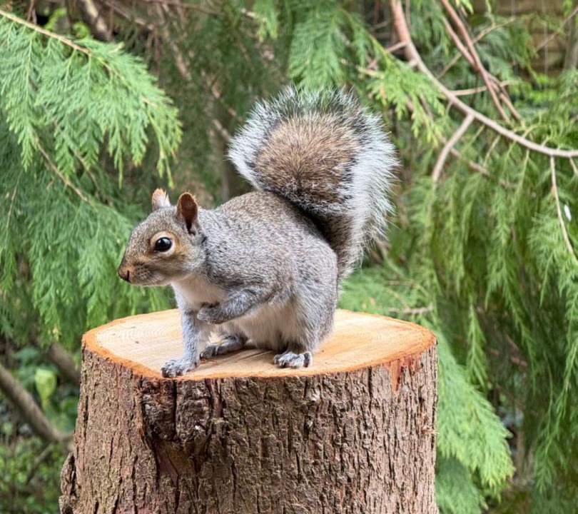 Photo of Others in Exmouth