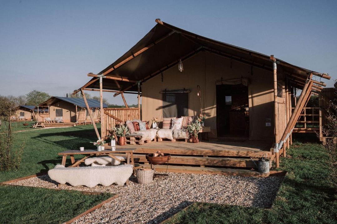 Photo of Others in Glastonbury