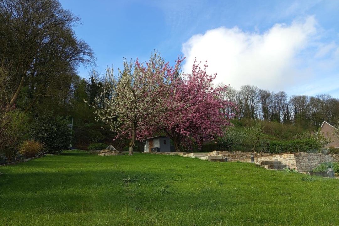 Photo of Others in Bouvigny-Boyeffles