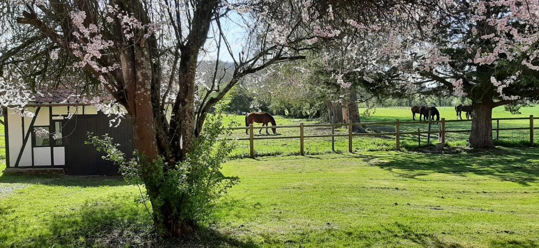 Photo of Others in Cavron-Saint-Martin