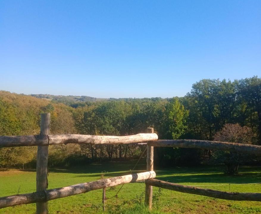 Photo of Others in Puycornet