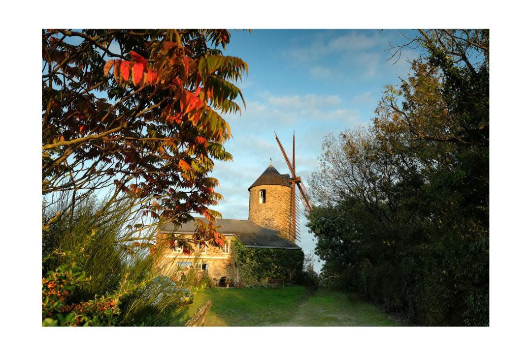 Photo of Others in Joue-sur-Erdre