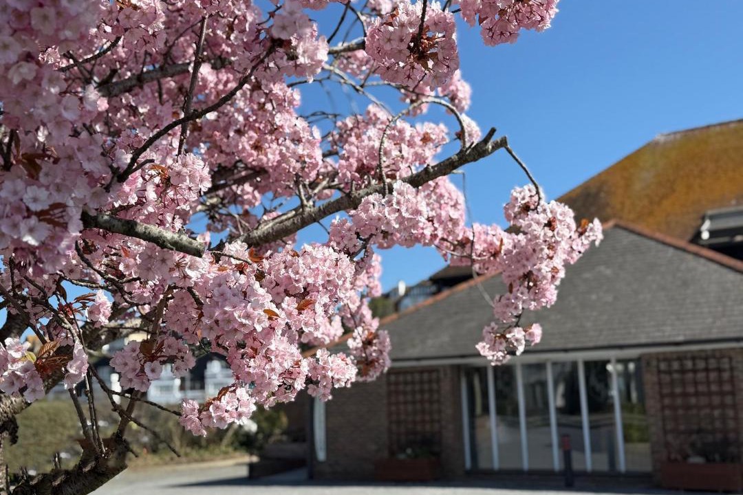 Photo of Others in Rye