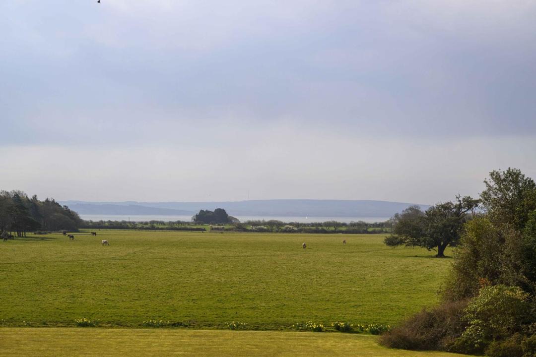 Photo of Others in New Forest District