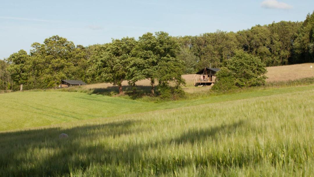 Photo of Others in West Meon