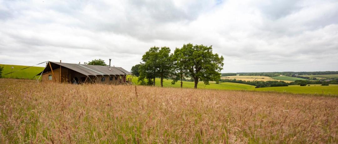 Photo of Others in West Meon