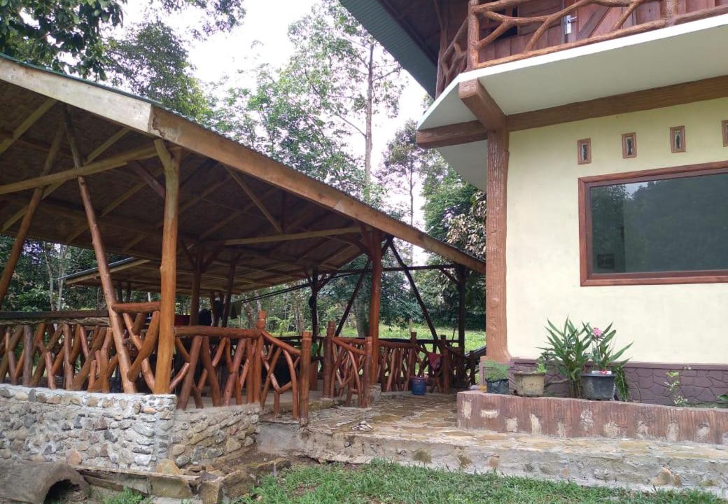Photo of Others in Bohorok