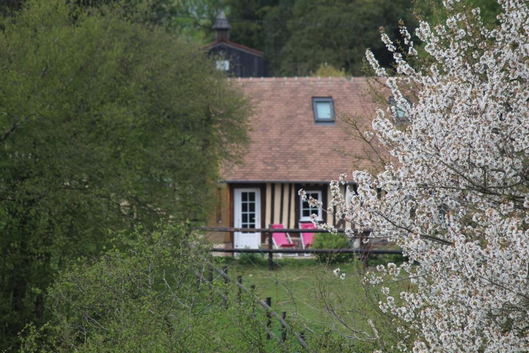 Photo of Others in Pays d'Auge