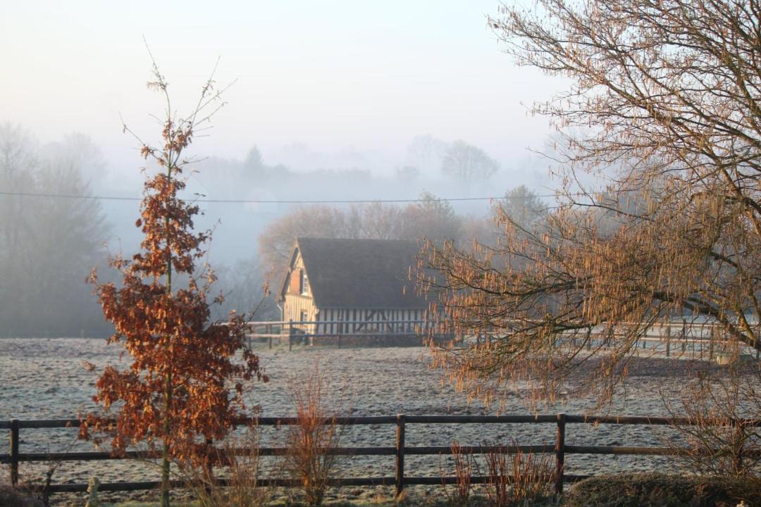 Photo of Others in Pays d'Auge