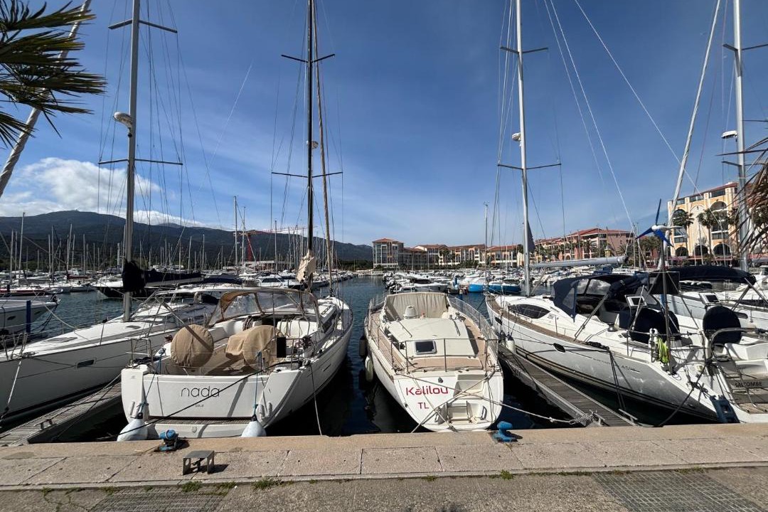 Photo of Others in Plage d'Argeles