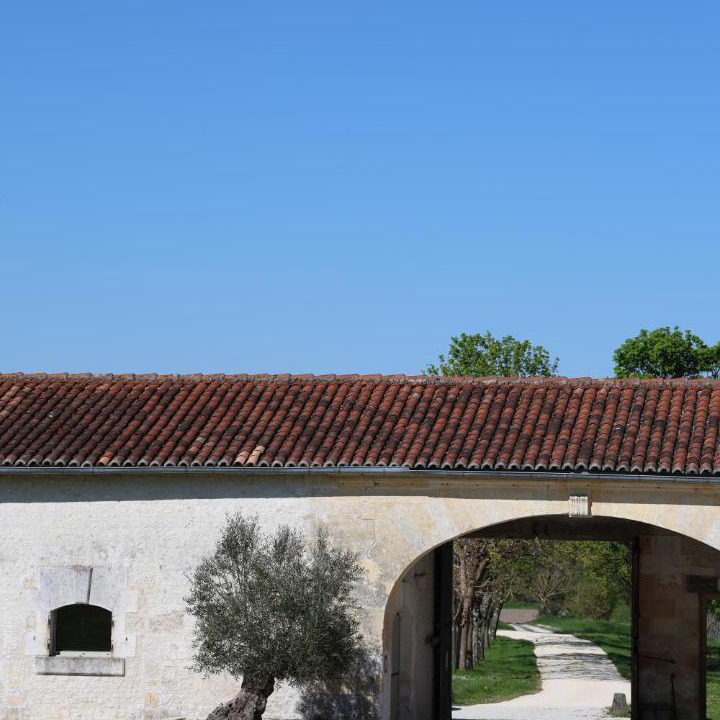 Photo of Others in Reaux