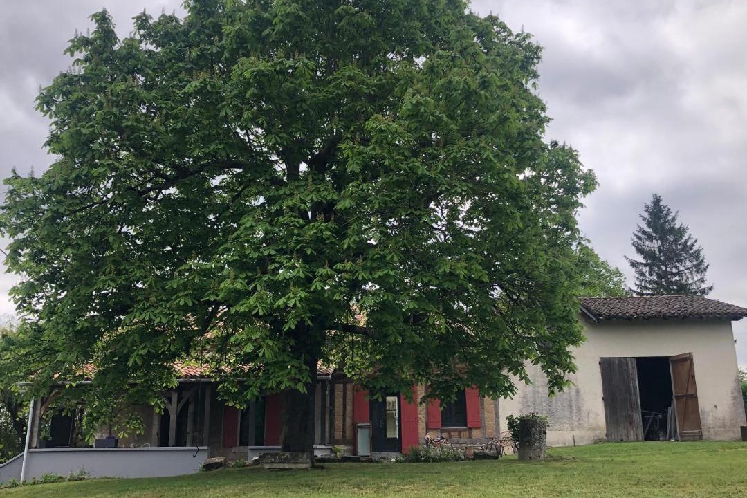 Photo of Others in Villereal