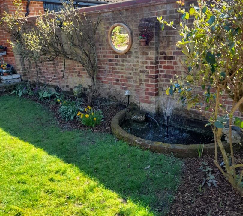 Photo of Others in Harleston