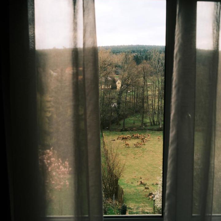 Photo of Others in Birkenwald