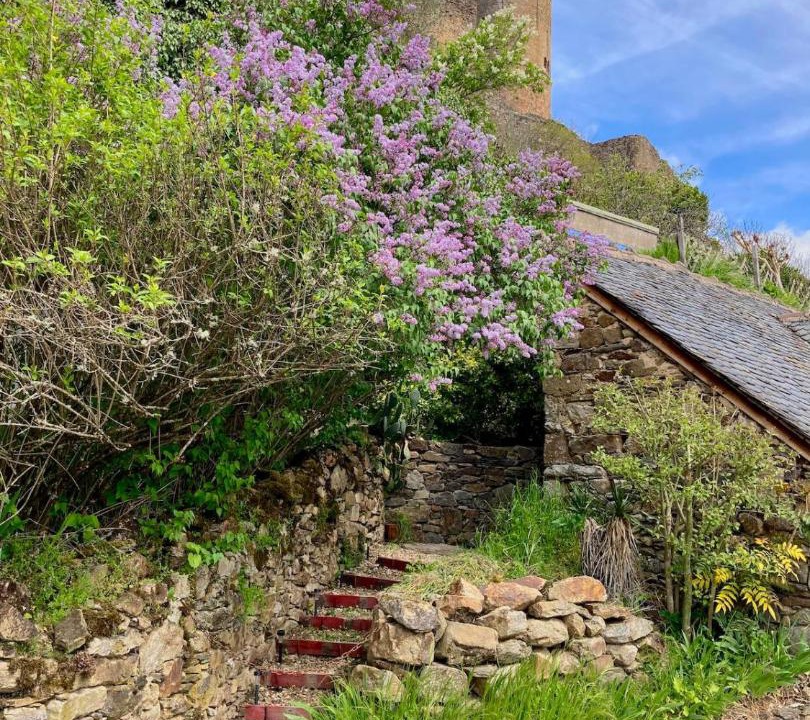 Photo of Others in Najac