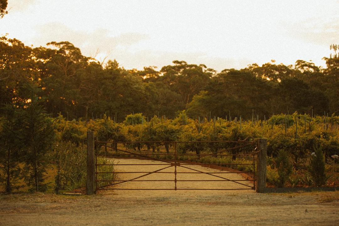 Photo of Others in Bobs Farm