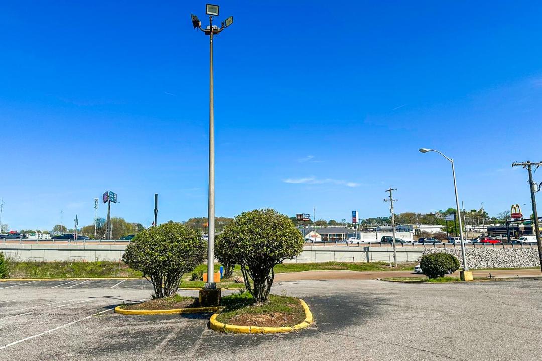 Photo of Others in Jackson