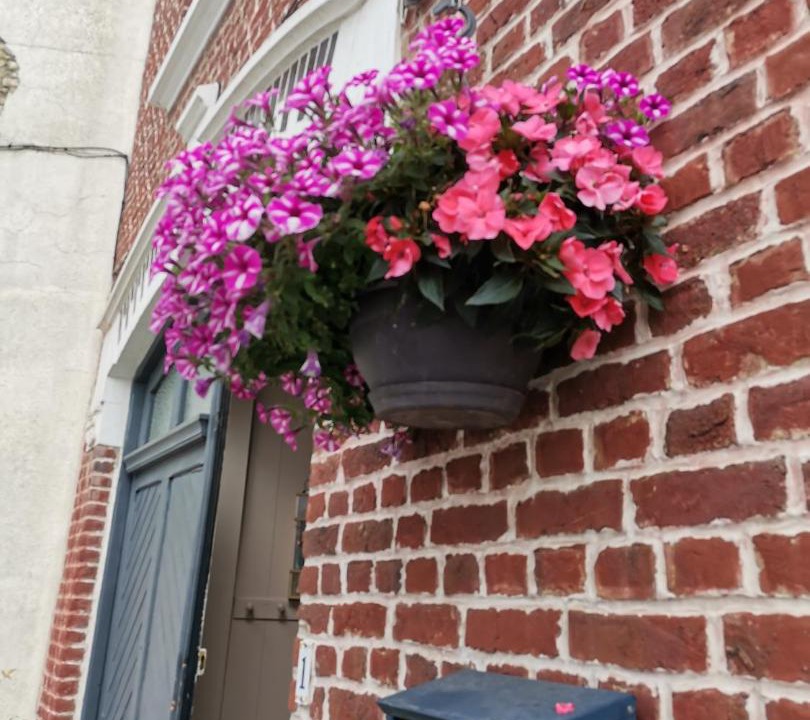 Photo of Others in Steenvoorde