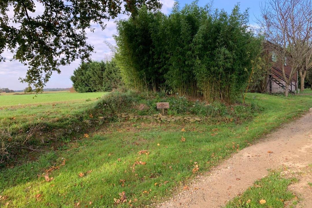 Photo of Others in Mirepoix