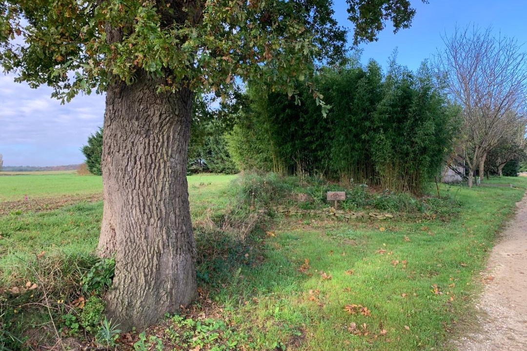 Photo of Others in Mirepoix