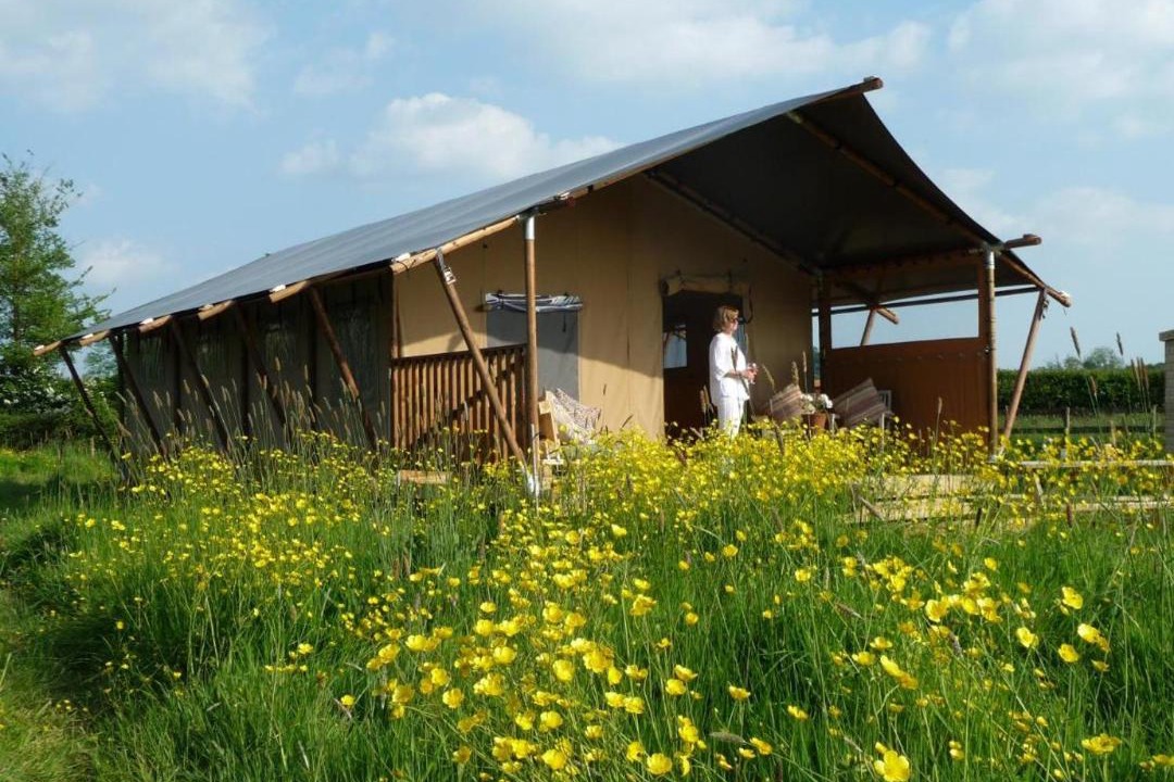 Photo of Others in Glastonbury