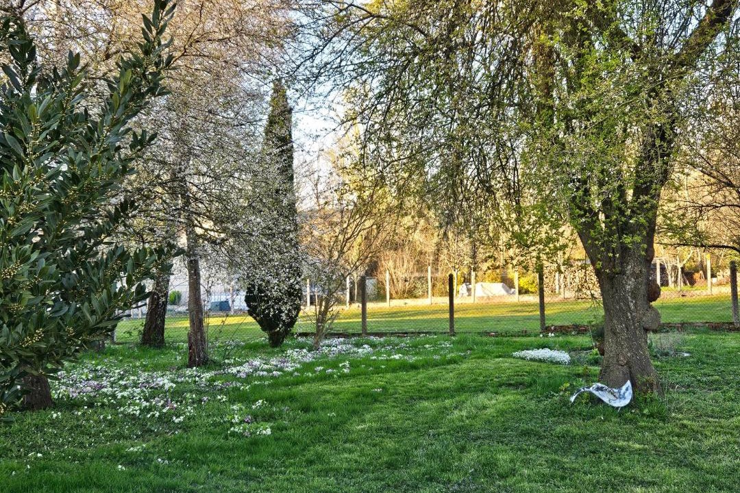 Photo of Outdoor in Merrey-sur-Arce